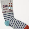 FatFace 1 Pack Beerillant Socks|Men View All