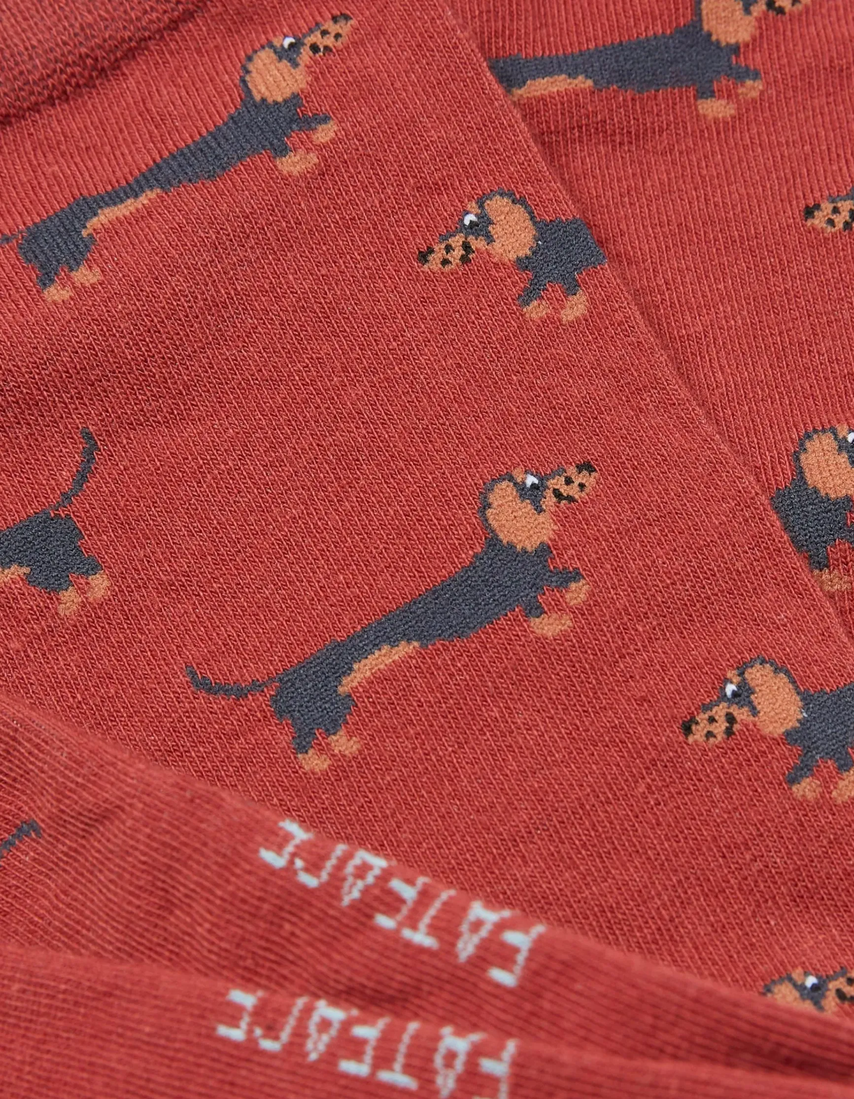 FatFace 1 Pack Dachshund Socks|Men View All