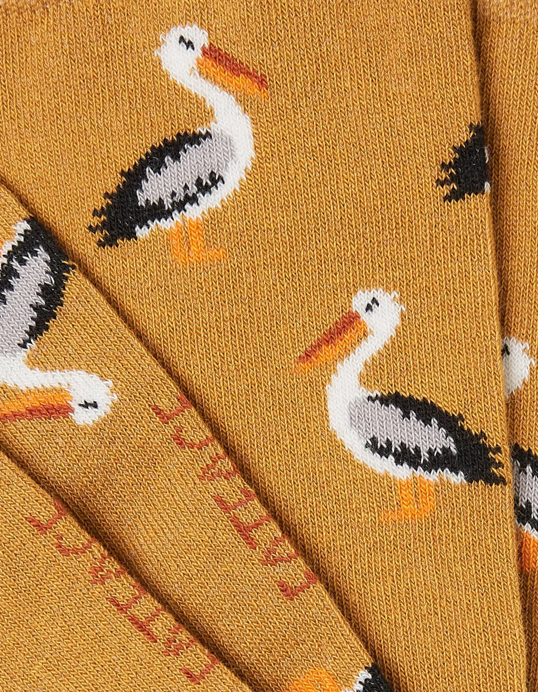 FatFace 1 Pack Pelican Socks|Men View All