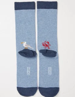 FatFace 1 Pack Sealife Stripe Socks|Men View All