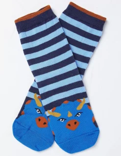 FatFace 1 Pack Triceratops Socks|Kids View All