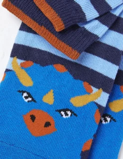 FatFace 1 Pack Triceratops Socks|Kids View All
