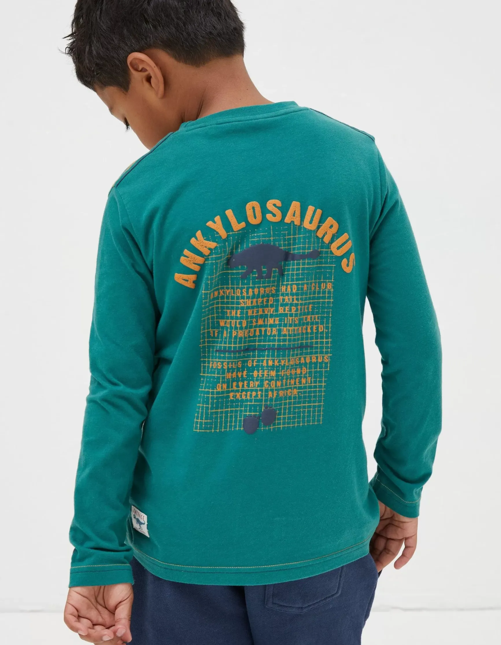 FatFace Ankylosaurus Graphic T Shirt|Boys View All