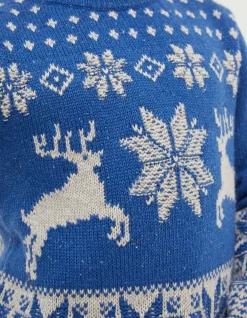 FatFace Family Reindeer Christmas Jumper|Boys View All