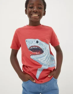 FatFace Glow-In-The-Dark Shark T-Shirt|Boys View All