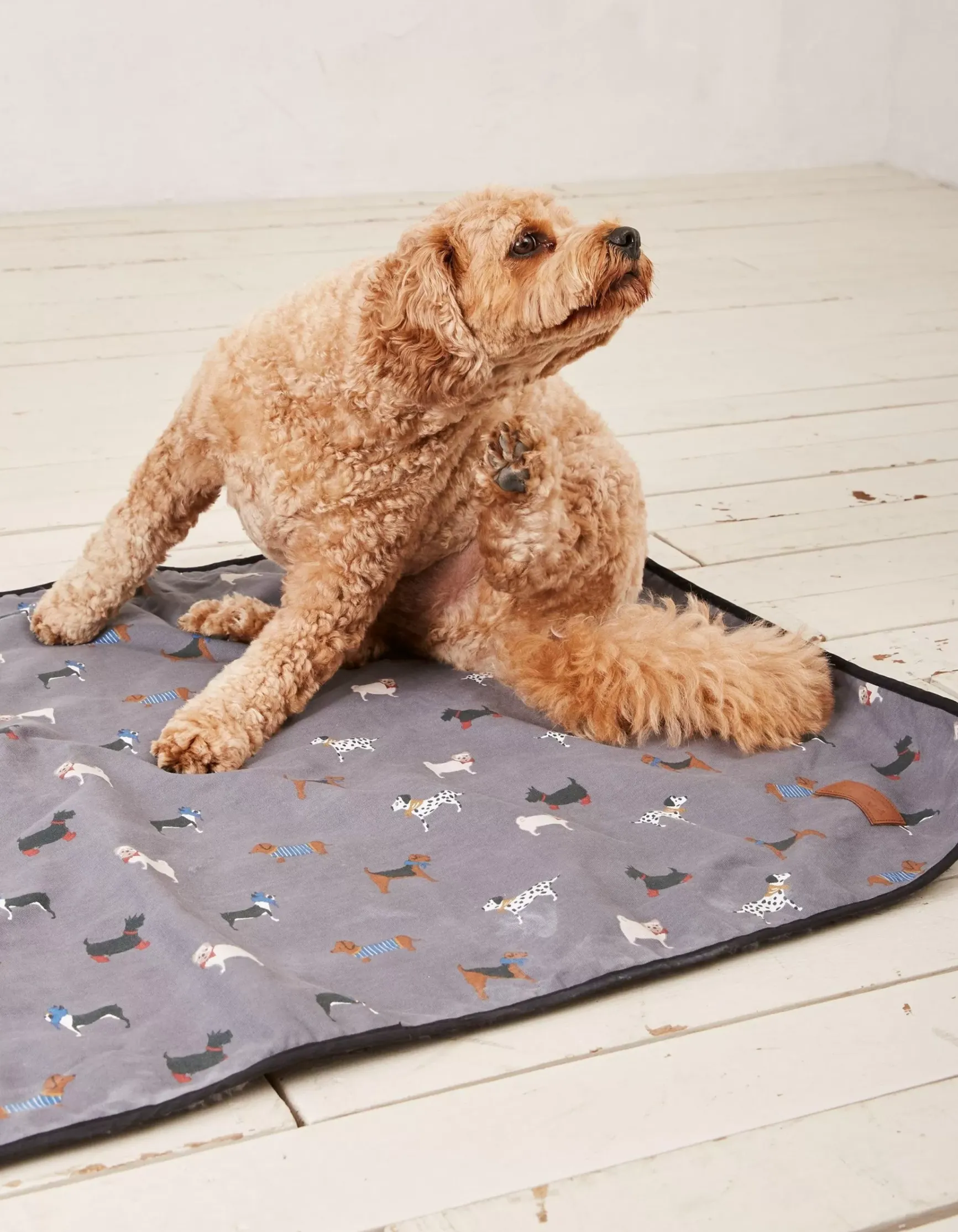 FatFace Marching Dogs Pet Blanket|Gifts View All