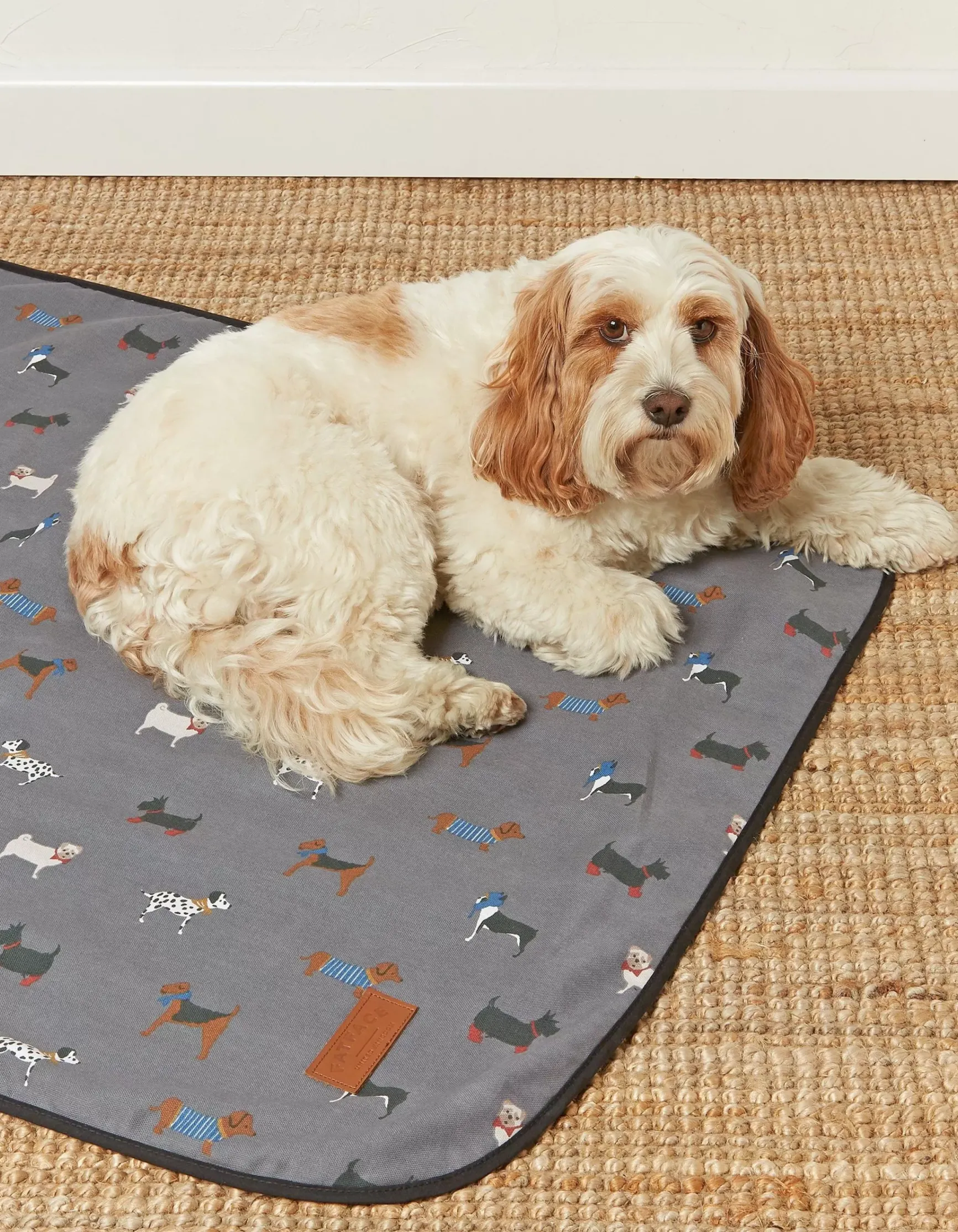 FatFace Marching Dogs Pet Blanket|Gifts View All